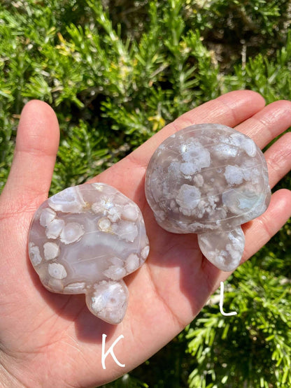 Flower Agate Turtles