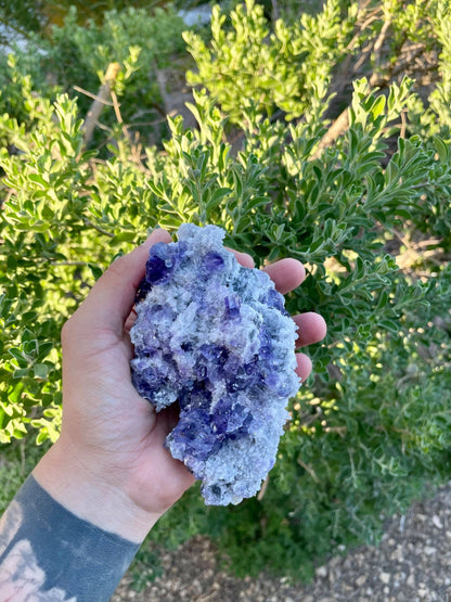 Purple Fluorite with Quartz 1 lb 2.5 oz