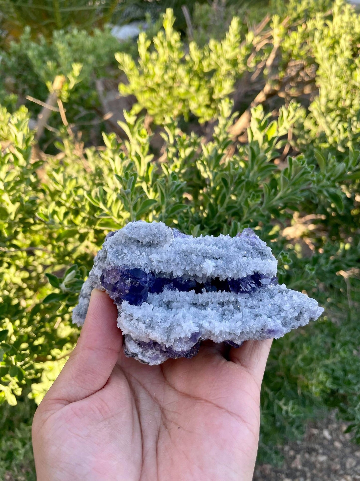 Purple Fluorite with Quartz 1 lb 2.5 oz