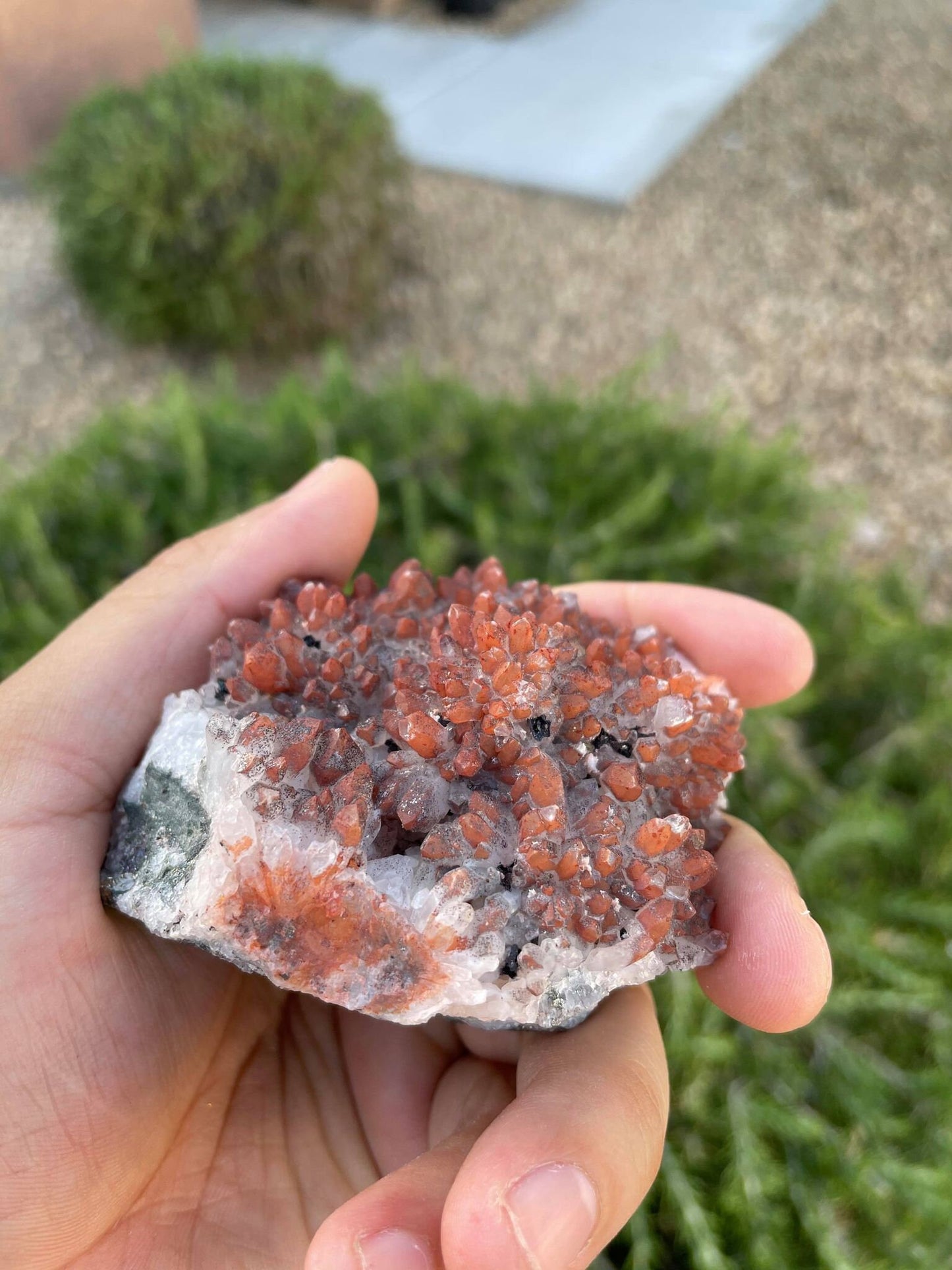 Hematite Quartz with Pyrite 6.4 oz