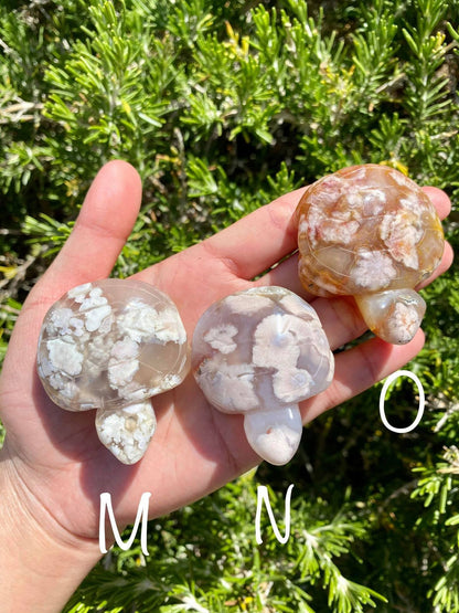 Flower Agate Turtles