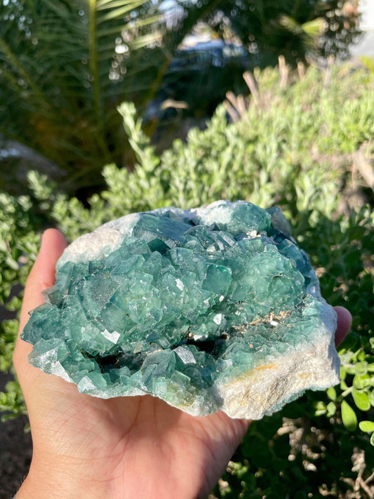 Green Fluorite 3lbs 13.9 oz