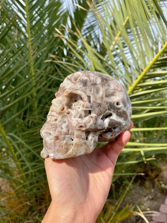 Sphalerite Big Skull with Beautiful Druzy 2 lbs