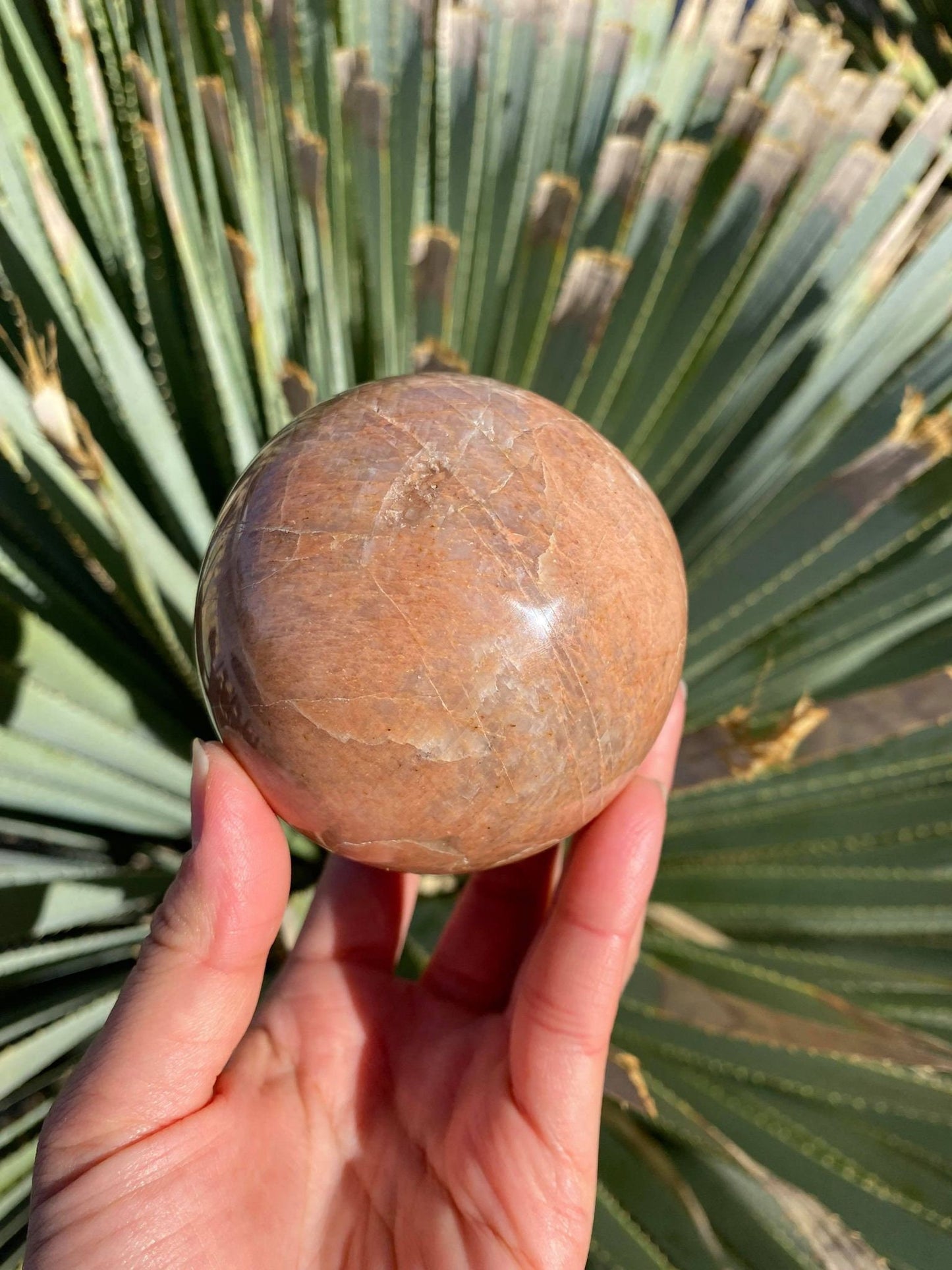 Peach Moonstone Sphere 1 lb 2.2 oz