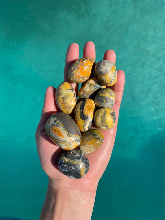 Bumblebee Jasper Tumbled Stone