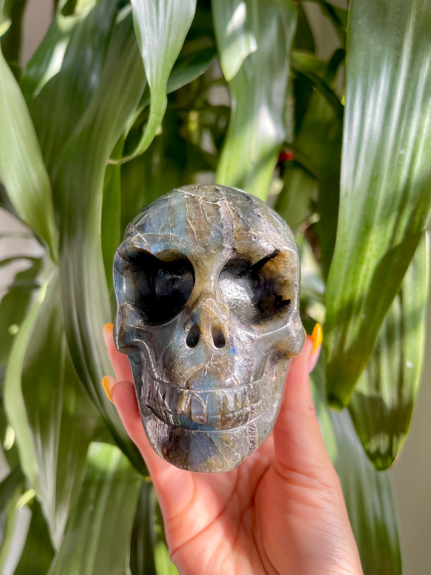 Labradorite Skull W/ Heart Eyes