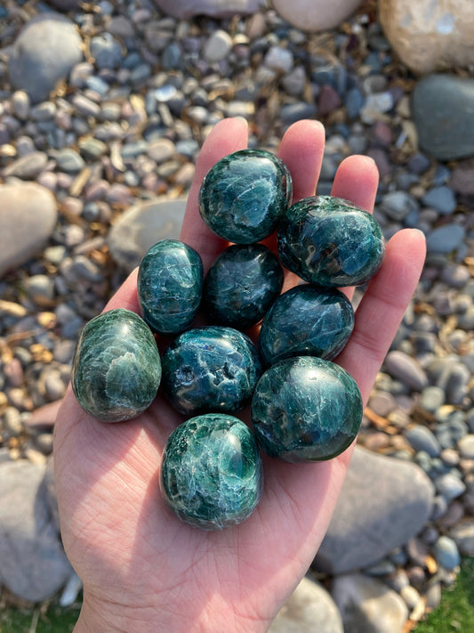 Green Apatite Tumble Stone