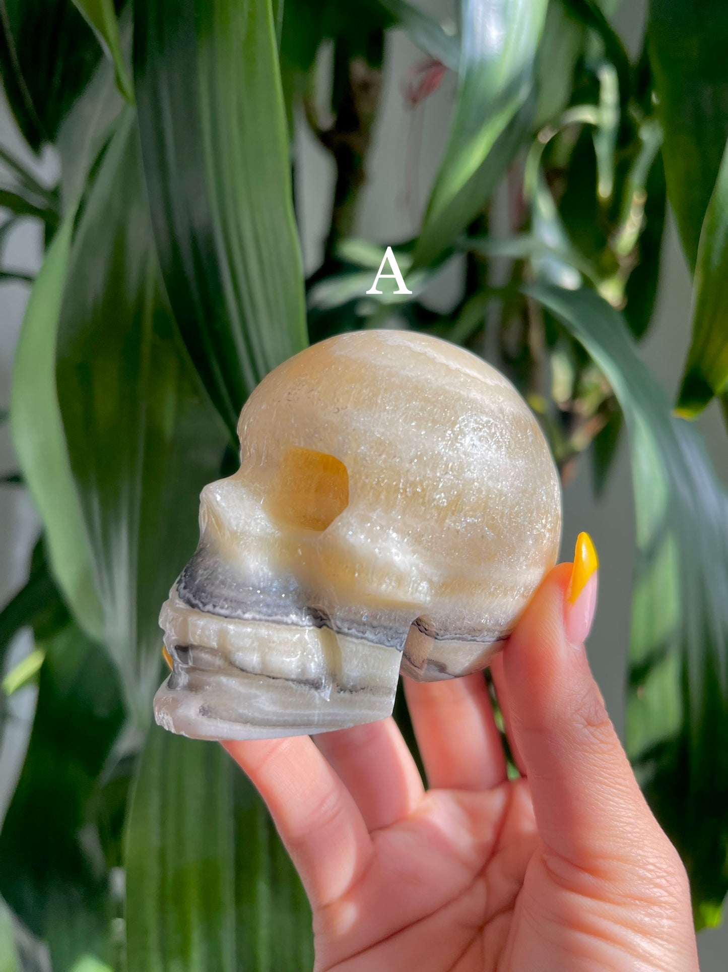 Zebra Calcite Skull