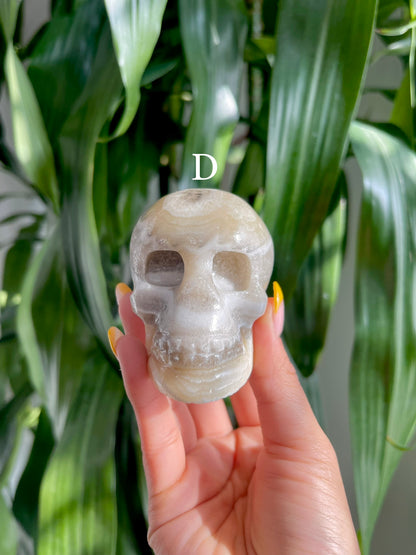 Zebra Calcite Skull