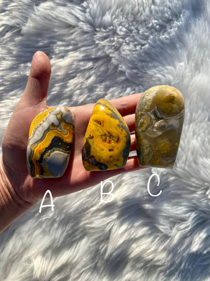 Bumblebee Jasper Free Forms