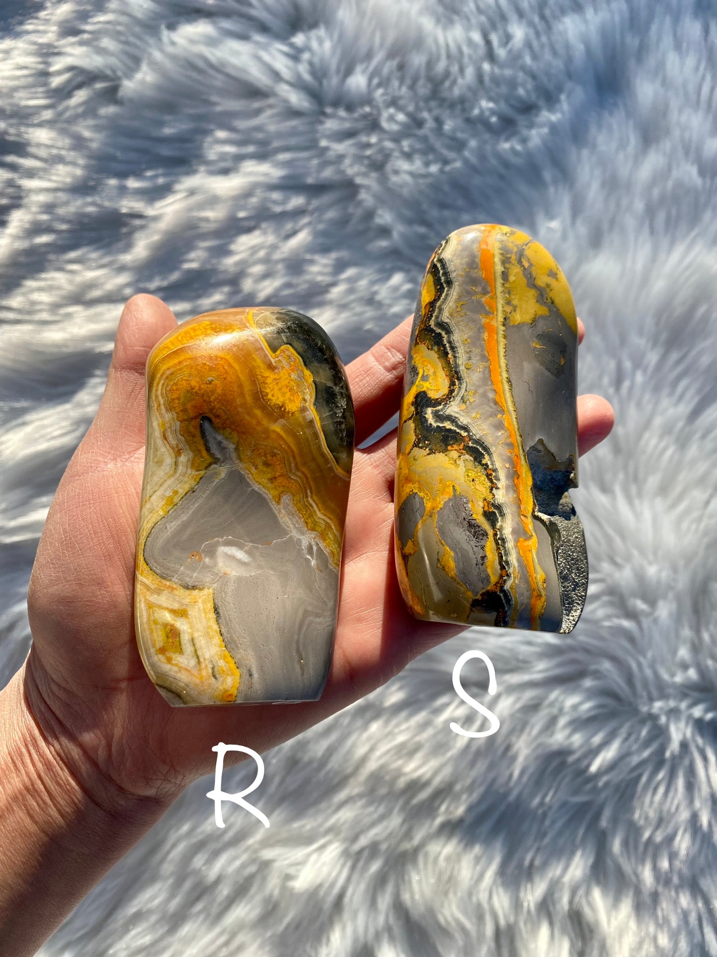 Bumblebee Jasper Free Forms