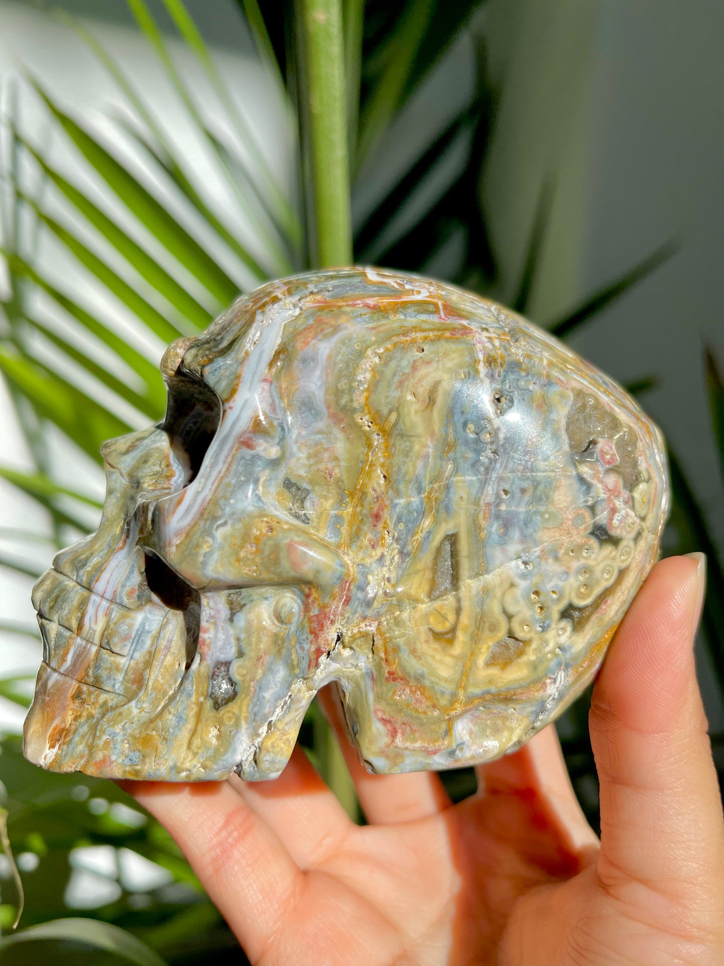 Ocean Jasper Skull