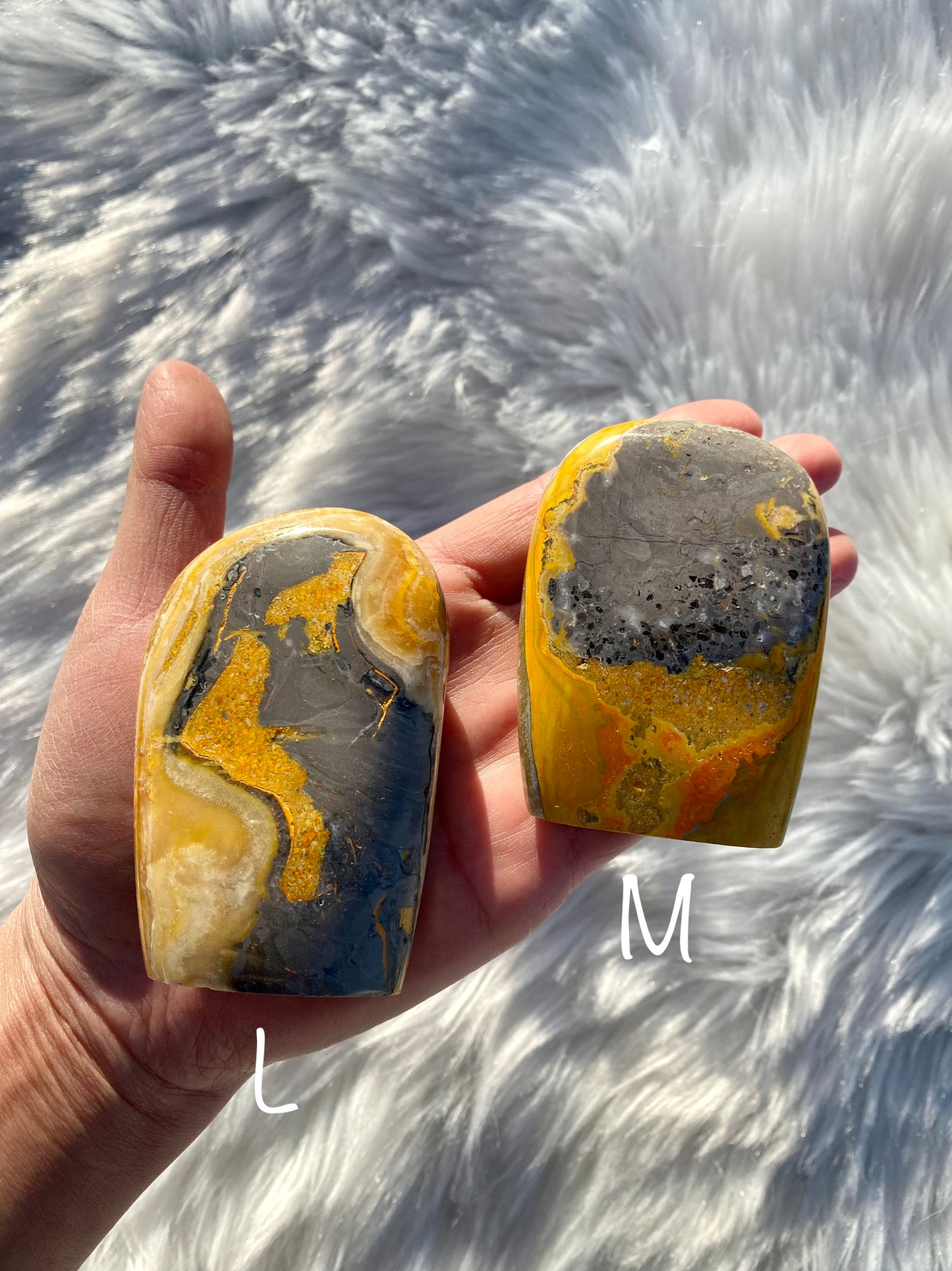 Bumblebee Jasper Free Forms