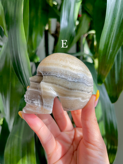 Zebra Calcite Skull