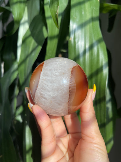 Carnelian W/ Quartz Sphere