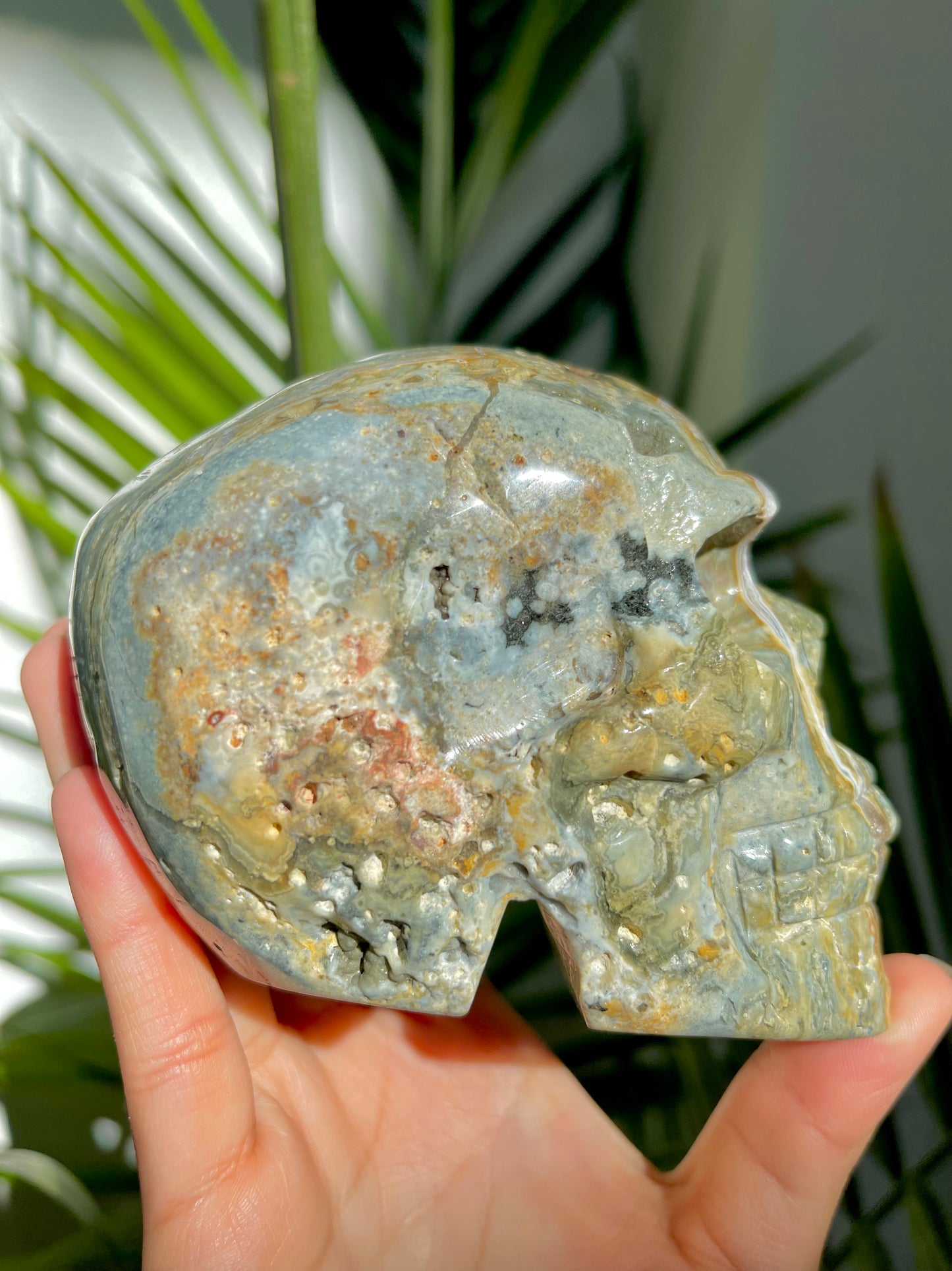 Ocean Jasper Skull