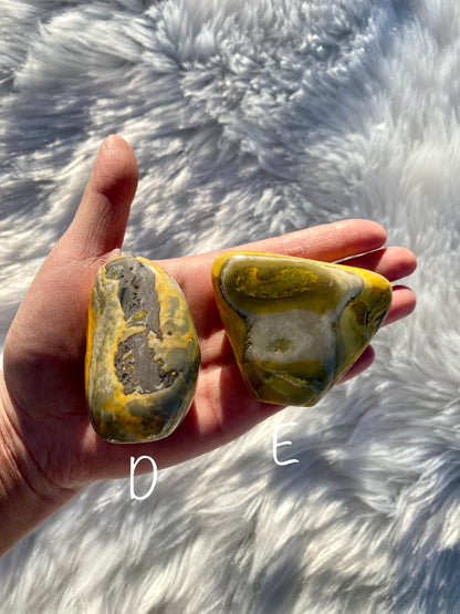 Bumblebee Jasper Free Forms