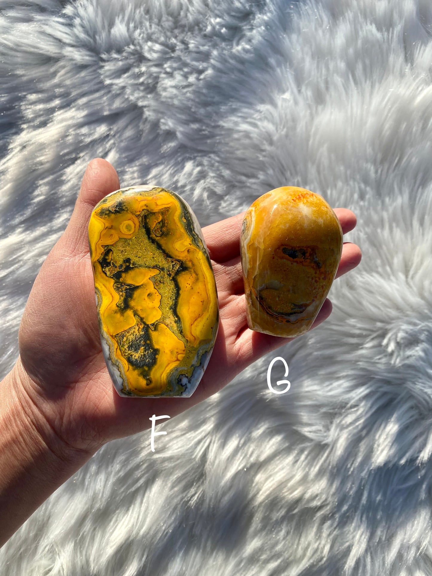 Bumblebee Jasper Free Forms