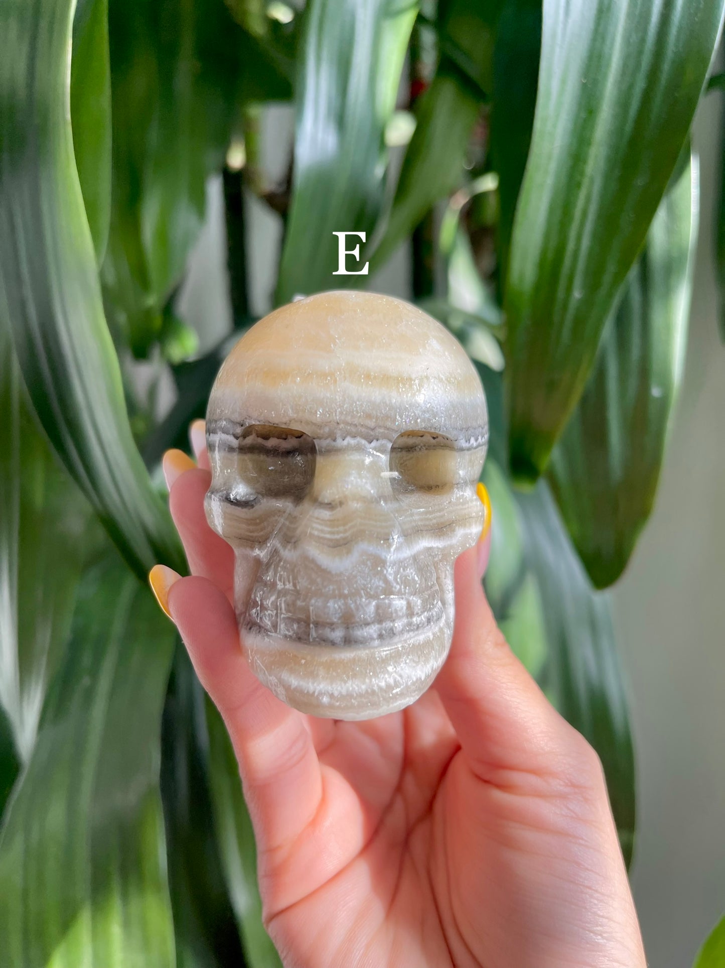 Zebra Calcite Skull