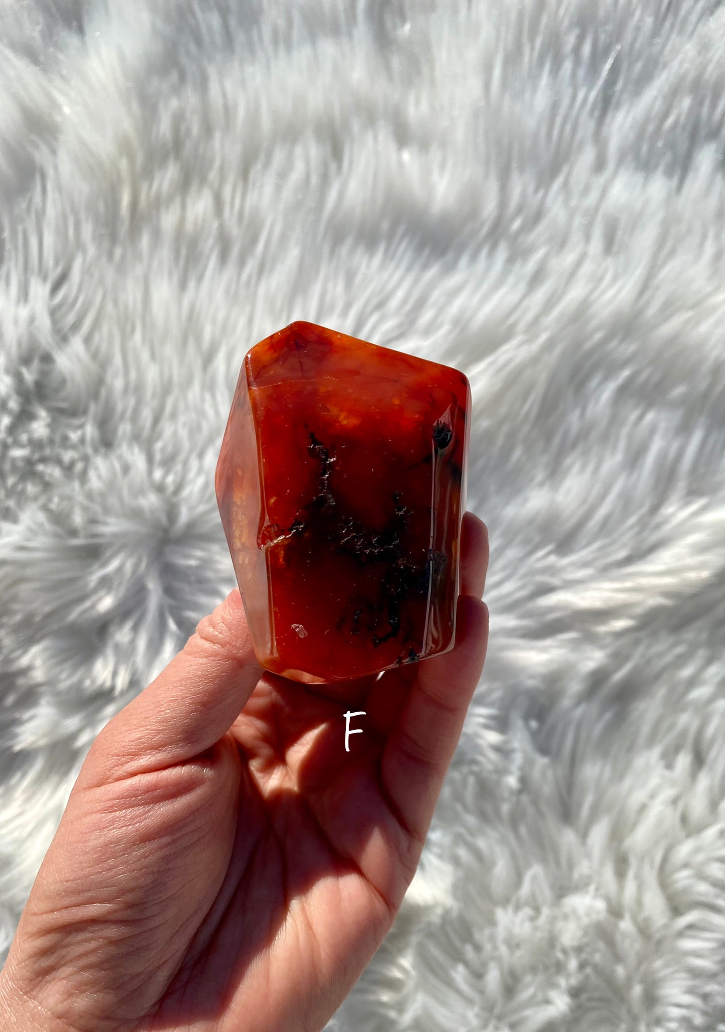 Carnelian Free Forms