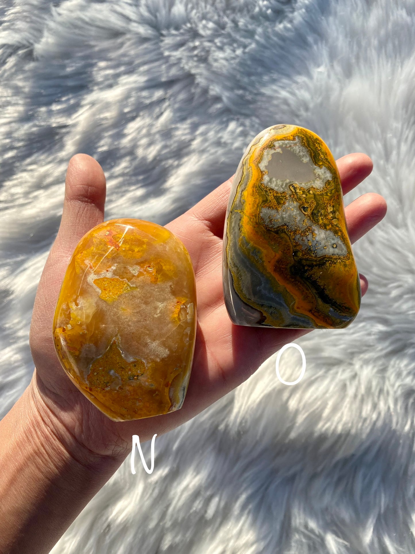 Bumblebee Jasper Free Forms