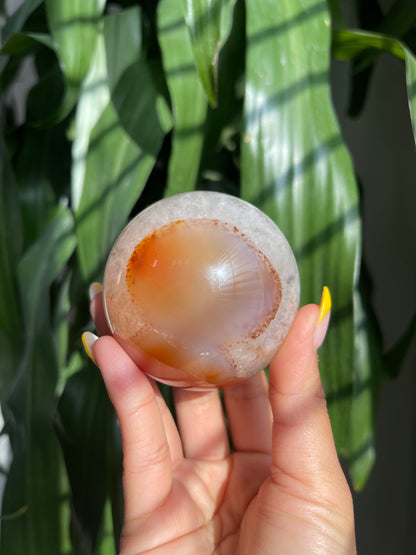 Carnelian W/ Quartz Sphere