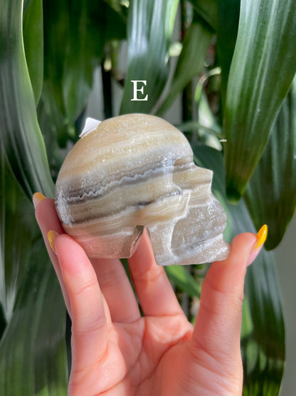 Zebra Calcite Skull