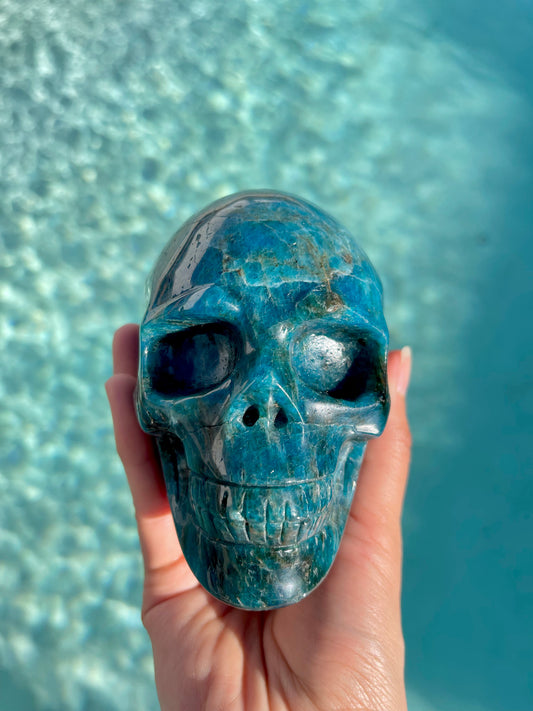 Blue Apatite Skull