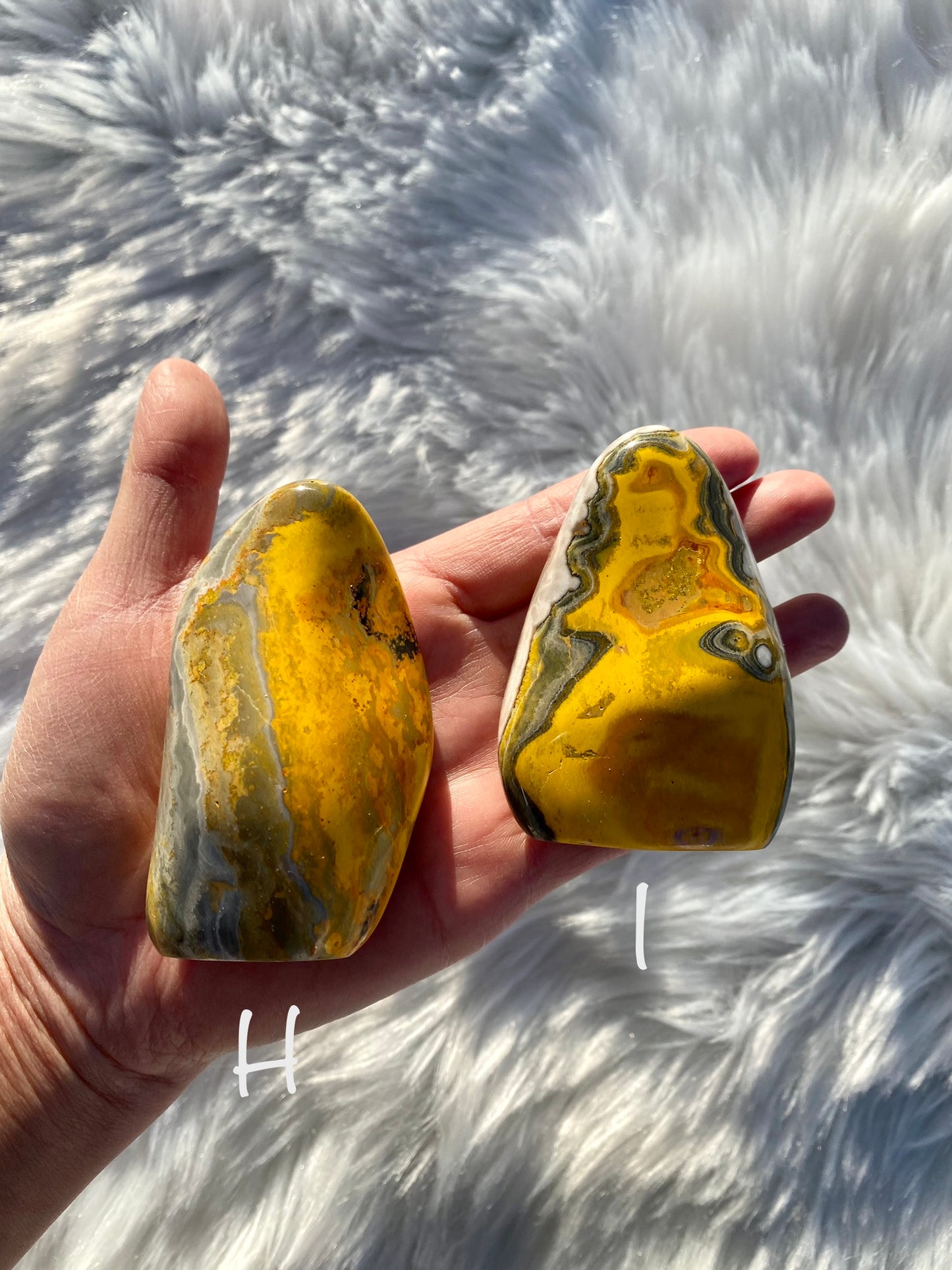 Bumblebee Jasper Free Forms