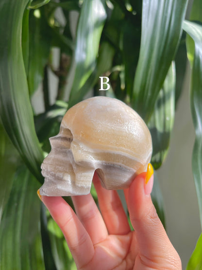 Zebra Calcite Skull