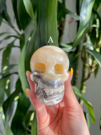 Zebra Calcite Skull