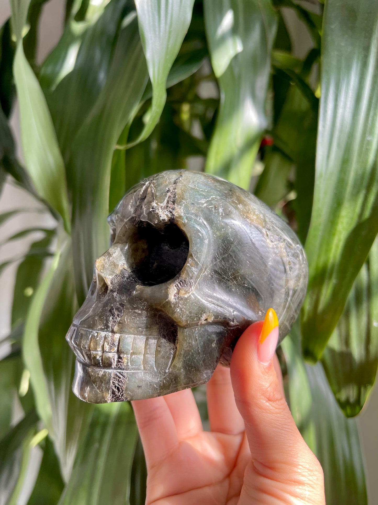 Labradorite Skull W/ Heart Eyes