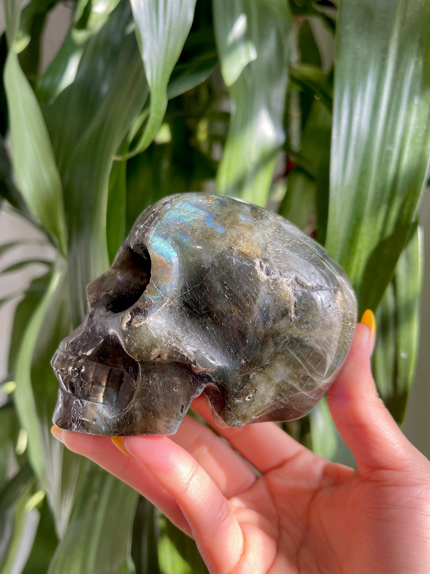 Labradorite Skull W/ Heart Eyes