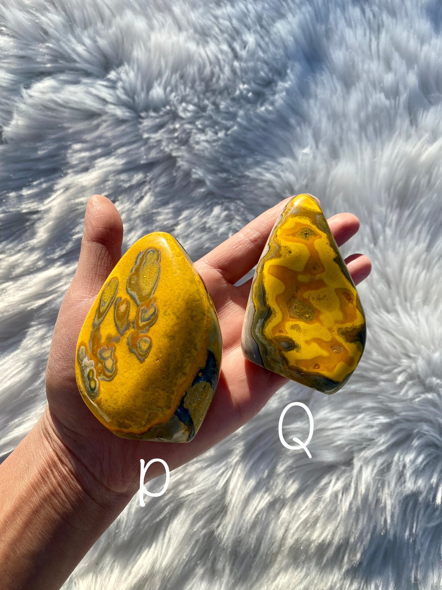 Bumblebee Jasper Free Forms