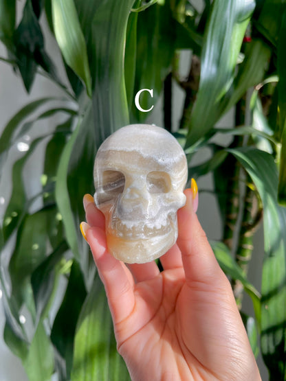 Zebra Calcite Skull