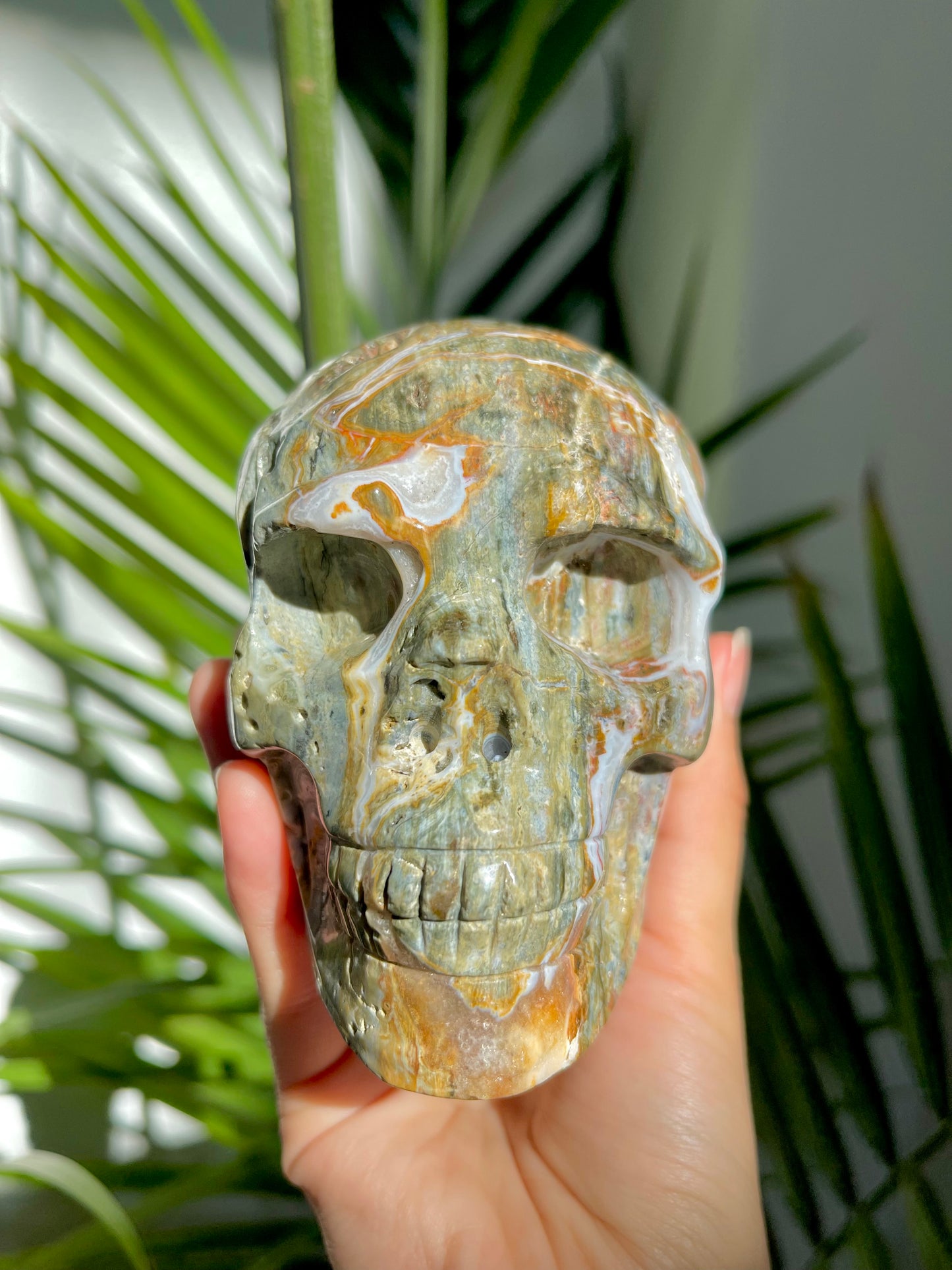 Ocean Jasper Skull