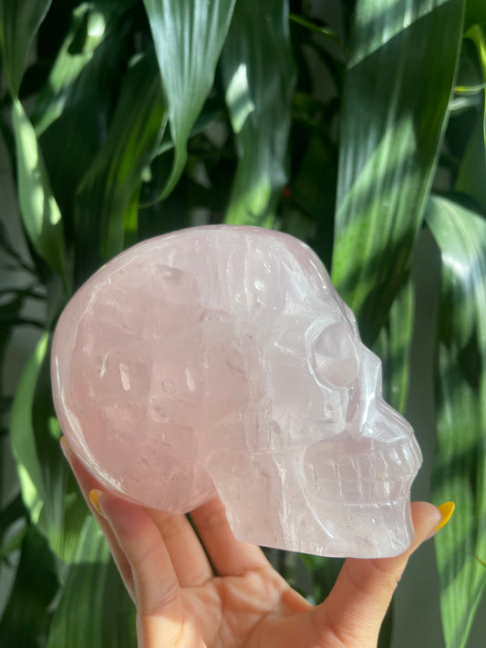 Rose Quartz Skull