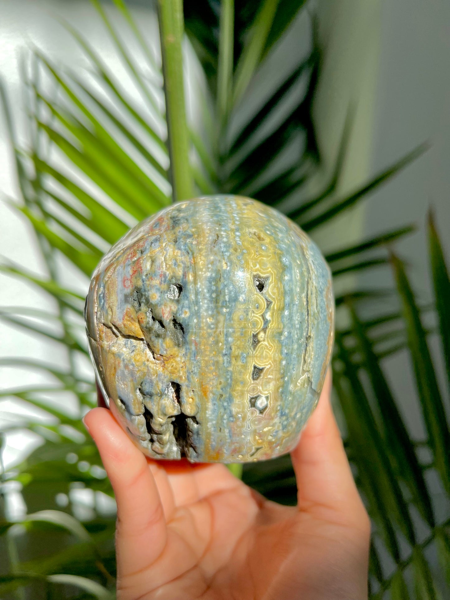 Ocean Jasper Skull